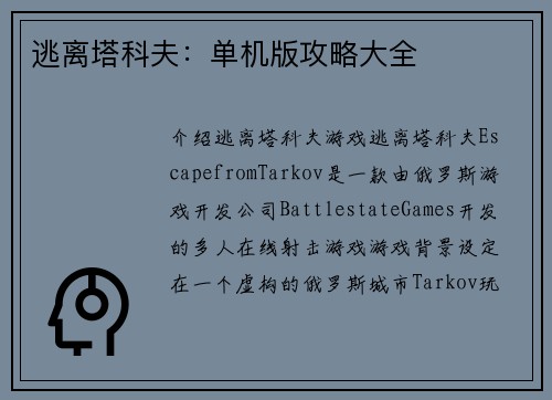 逃离塔科夫：单机版攻略大全